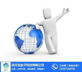 武漢寶盒子科技 圖APP開發與神農架網絡推廣的技術融合之道