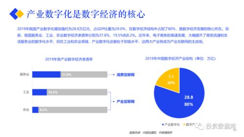 2020產業互聯網發展報告 網絡開發的機遇與挑戰